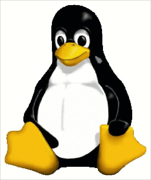 Linux Kernel Module Programming Guide