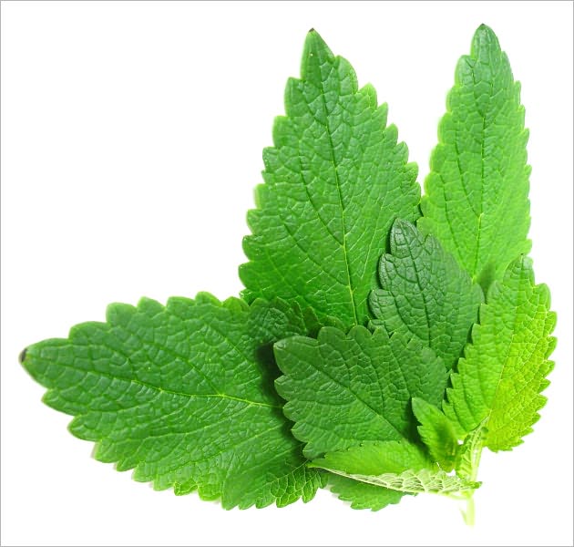 Herbal Mysteries Uncovered: The Truth Behind Natural Remedies Using Herbs