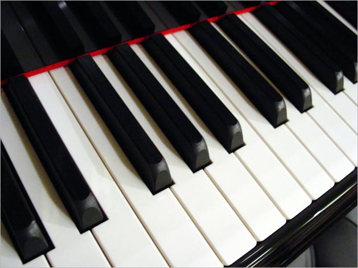 Piano Mastery : How to Learn Piano Fast from Master Pianist