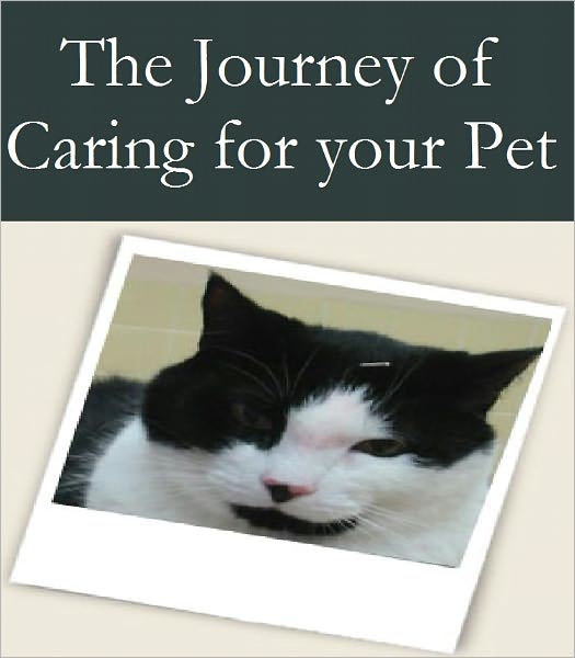 The Journey of Caring for Your Pet