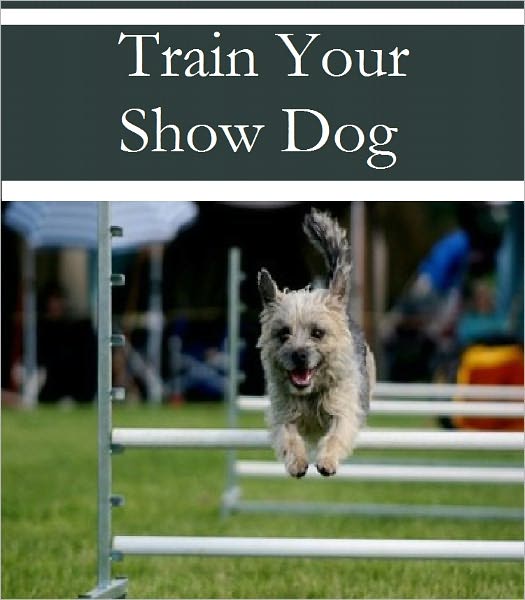 Train Your Show Dog