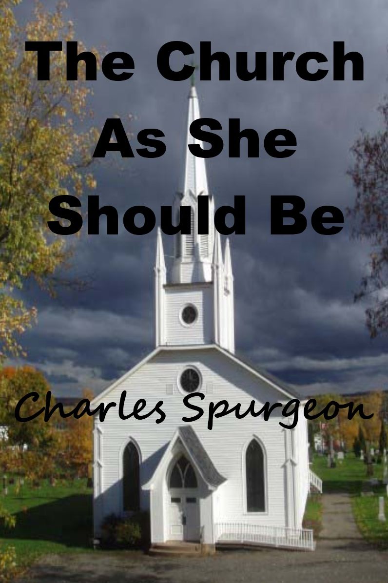 The Church as She Should Be