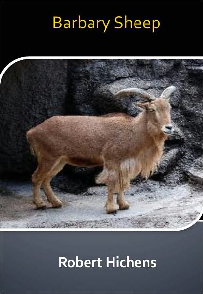 Barbary Sheep w/ Direct link technology (A Romantic Adventure)