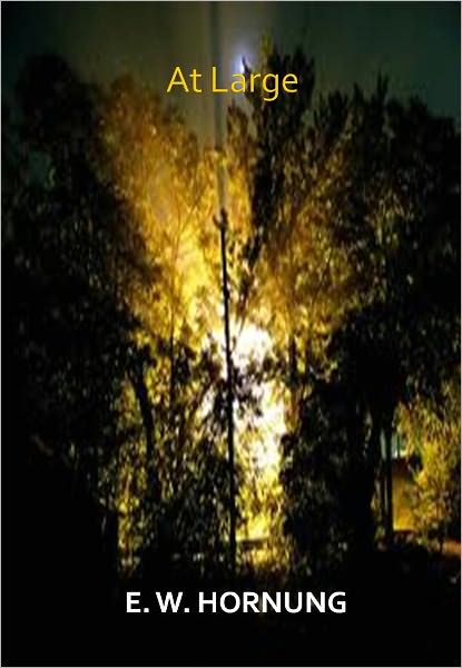 At Large w/ Direct link technology (A Romantic Thriller)