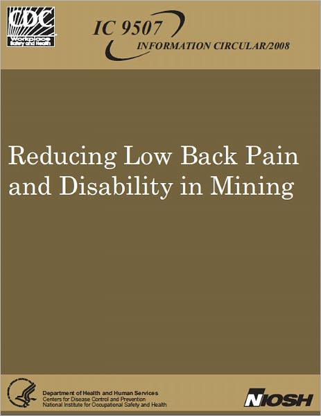 Reducing Low Back Pain and Disability in Mining