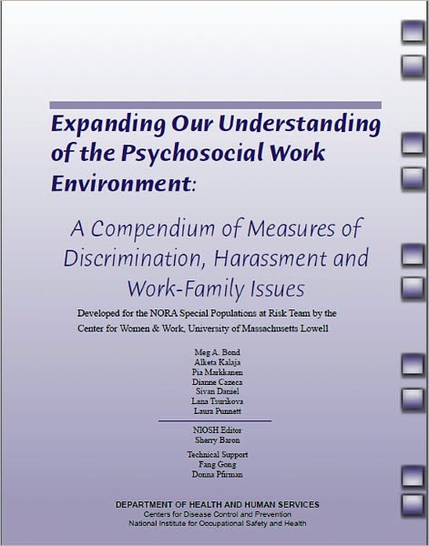 Expanding Our Understanding of the Psychosocial Work Environment
