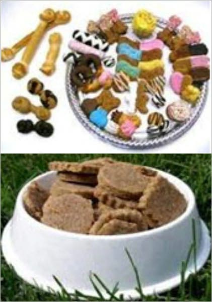 Dog Treats Recipes - Healthy and Delicious! - Ace's Favorite Cheesy Dog Biscuits, Alfalfa Hearts, Alfie And Archie's Dog Biscuits, Apple Cinnamon Doggie Biscuits, An Apple a Day Dog Treat, Apple Crunch Pupcakes, Aunt Bianca's Dog Biscuits, and more...