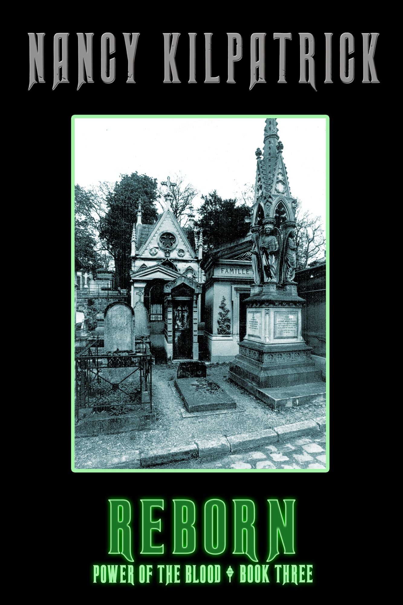 Reborn - Book III in the Power of the Blood World