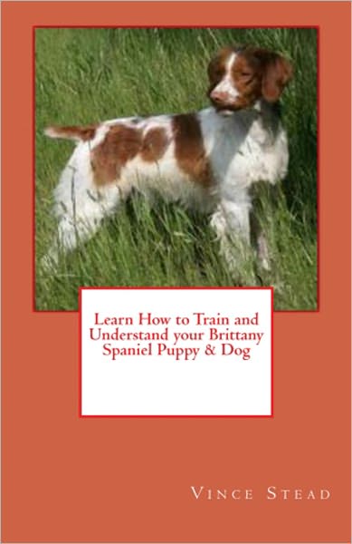 Learn How to Train and Understand your Brittany Spaniel Puppy & Dog