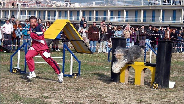 Dog Training Guide : Secret Training for Your Best Friend