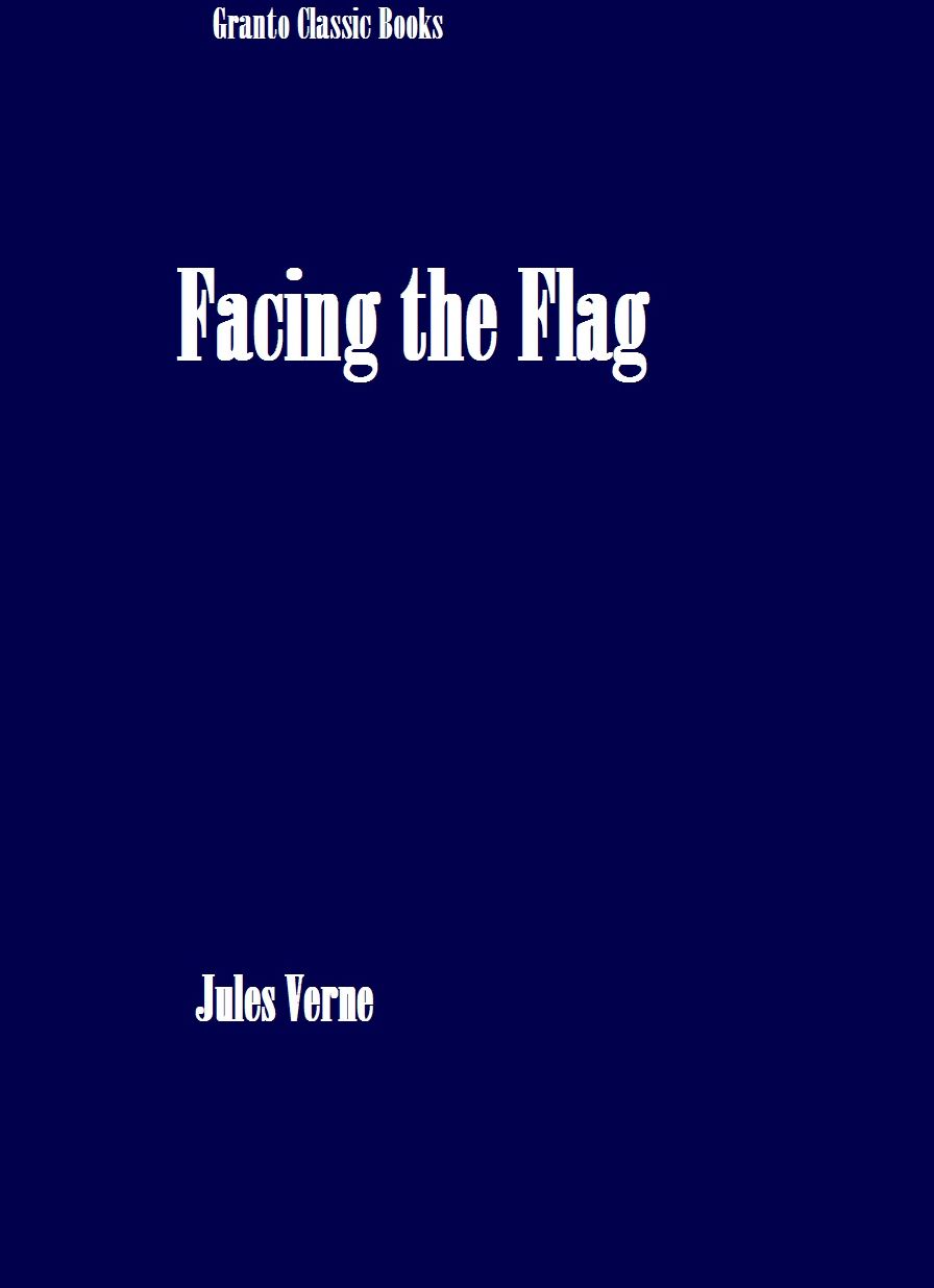 Facing the Flag