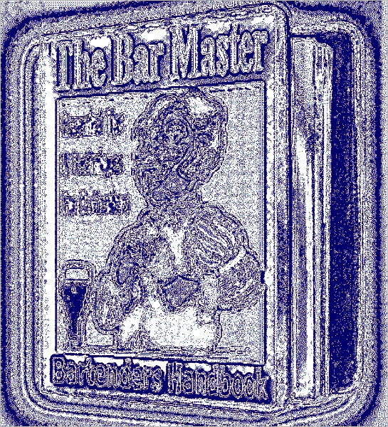The Bar Master - The Essential Tips and Techniques for Bartenders