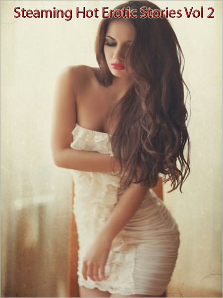 Steamy Hot Erotic Stories Vol 2