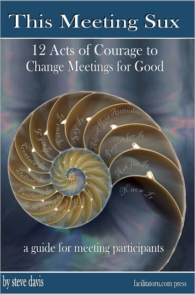This Meeting Sux: 12 Acts of Courage to Change Meetings for Good