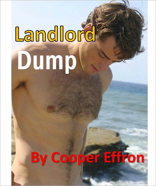 Landlord Dump
