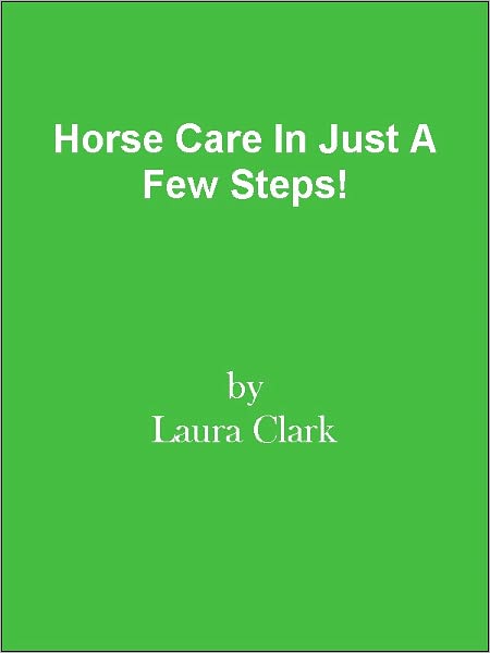 Horse Care In Just A Few Steps!