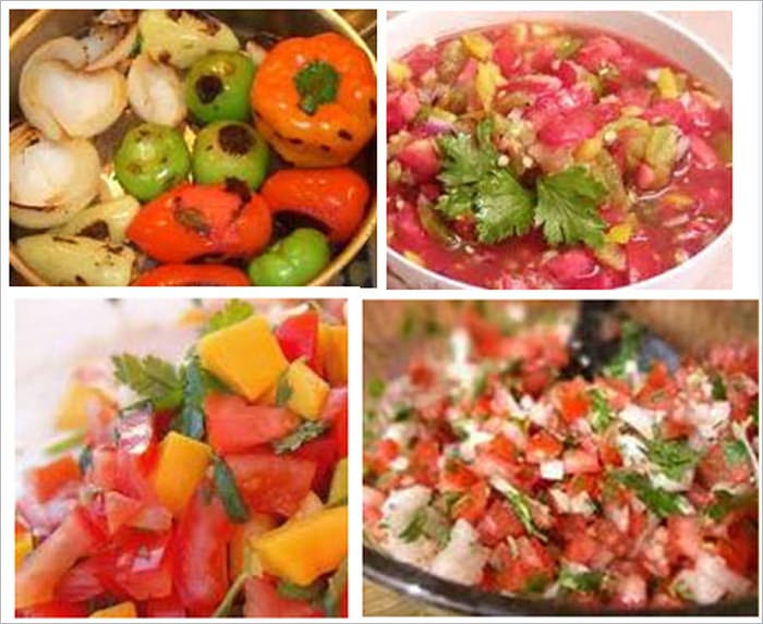 The Cookbook for America's Favorite Salsa Recipes: Get salsa recipes for every occasion and every palate. You get almost 200 salsa recipes for your every imaginable combination of ingredients. There's sure be something for everyone.
