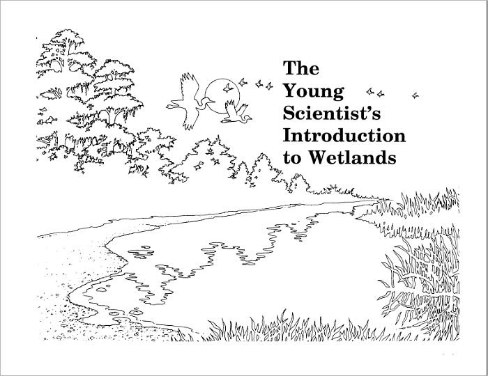 The Young Scientist's Introduction to Wetlands