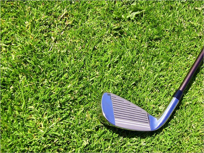 Golf Basics Guide: How to Start Your New Hobby the Right Way