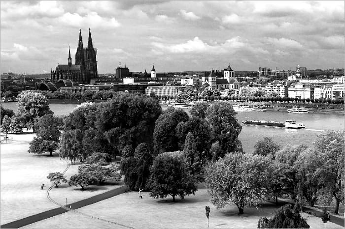 Rollo on the Rhine (Illustrated)