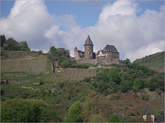 Legends of the Rhine (Illustrated)