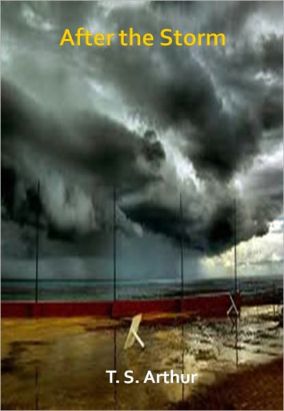 After the Storm w/ Direct link technology (A Romantic Story)