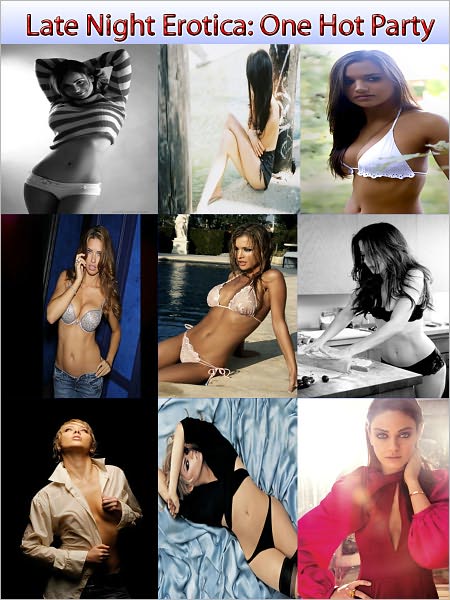 Late Night Erotica: One Hot Party