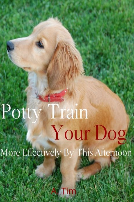 Potty Train Your Dog More Effectively By This Afternoon