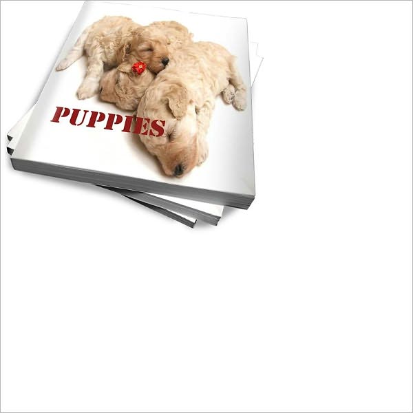 Puppy Care Made Easy