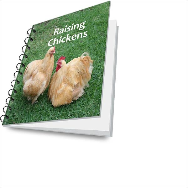 Raising Chickens Made Easy: Tips and Guidelines For Successful Chicken Raising