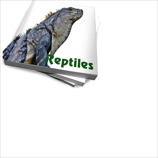 Know More About Reptiles As Pets – Basic Guidelines
