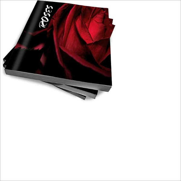 Great Rose Gardening Ideas