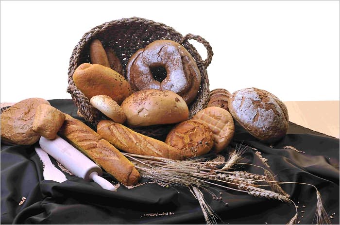 Huge Collection of Atkins Diet Recipes