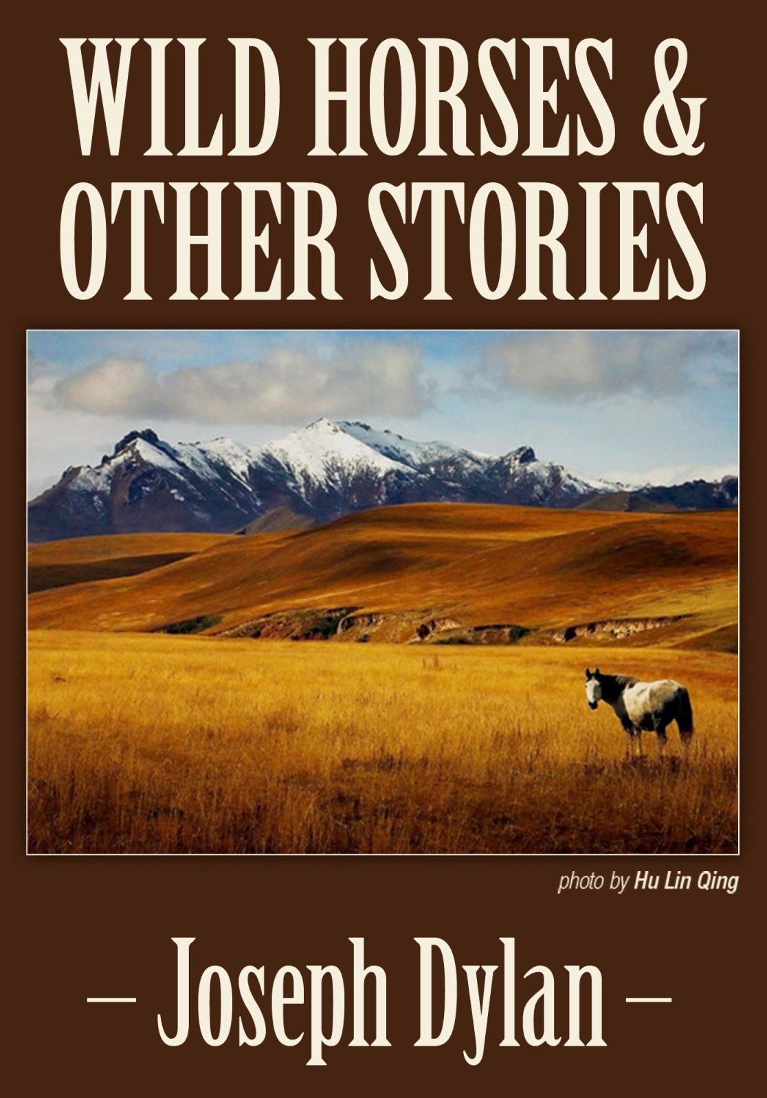 Wild Horses and Other Stories