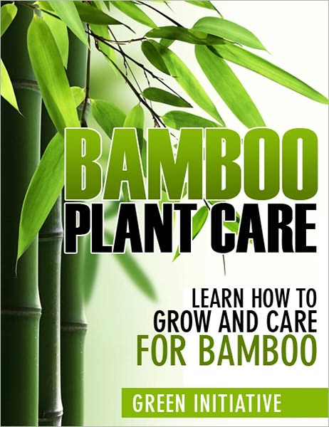 Bamboo Plant Care - How to Grow and Care for Bamboo