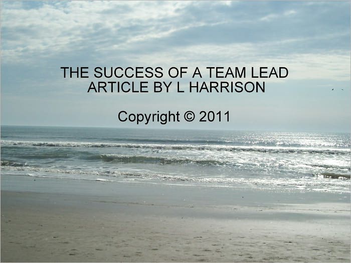 Success As A Team Lead (Article)