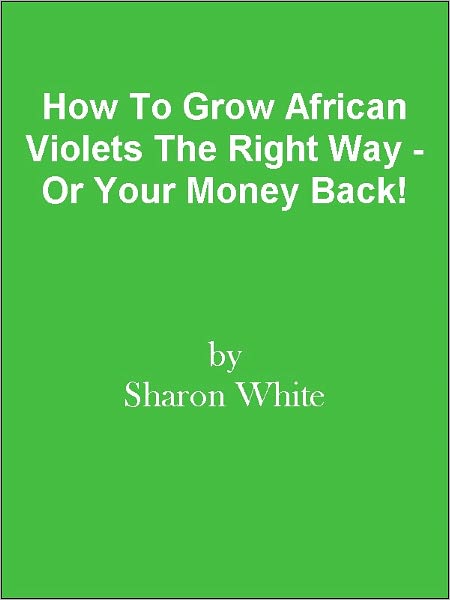 How To Grow African Violets The Right Way - Or Your Money Back!
