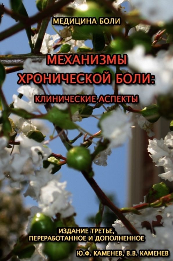 MECHANISMS Of CHRONIC PAIN: Clinical Aspects (Russian Edition)