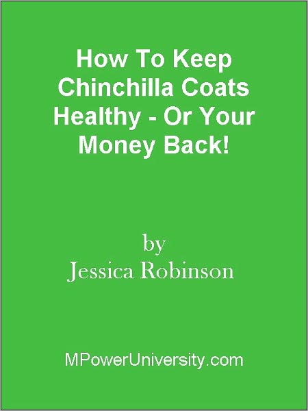 How To Keep Chinchilla Coats Healthy - Or Your Money Back!