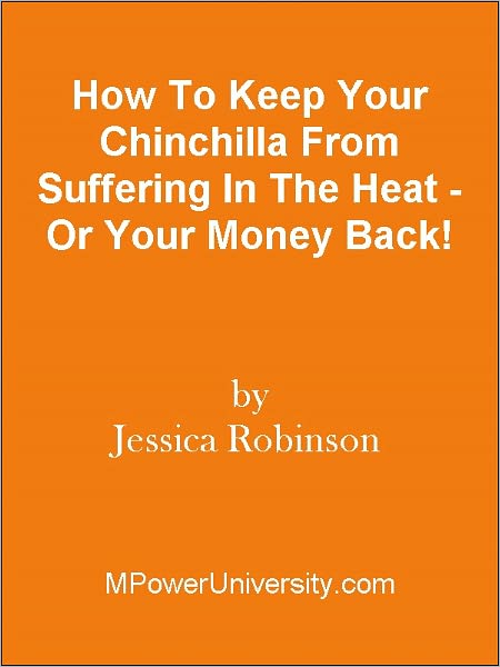 How To Keep Your Chinchilla From Suffering In The Heat - Or Your Money Back!