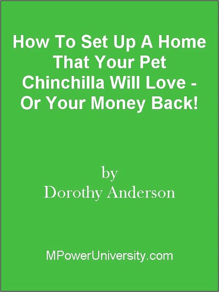 How To Set Up A Home That Your Pet Chinchilla Will Love - Or Your Money Back!
