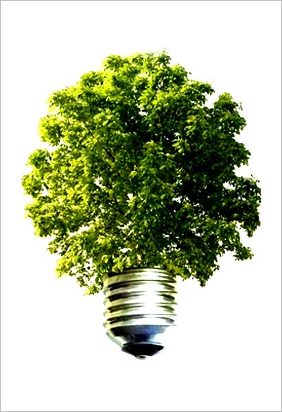 ALTERNATIVE ENERGY: WHY ITS GOOD FOR THE HOME AND BUSINESS