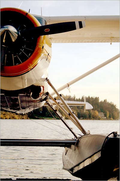 THE HISTORY OF BUSH FLYING