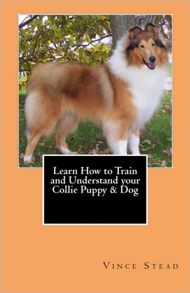 Learn How to Train and Understand your Collie Puppy & Dog