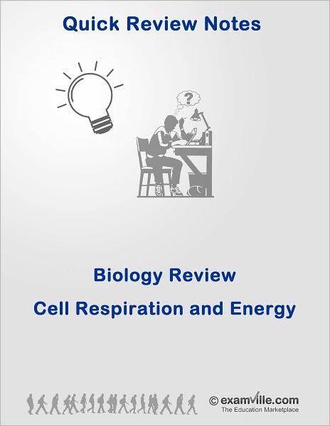 Biology Review: Cell Respiration and Energy