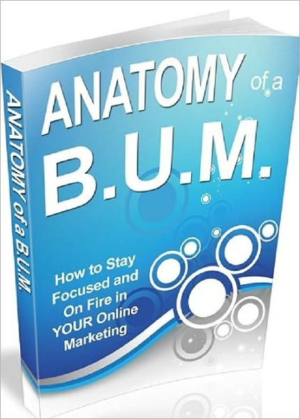 Impressive Results - B.U.M Marketing Made Easier and Faster - Anatomy of a B.U.M.