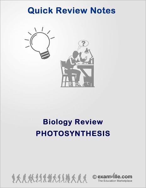 Biology Review: Photosynthesis
