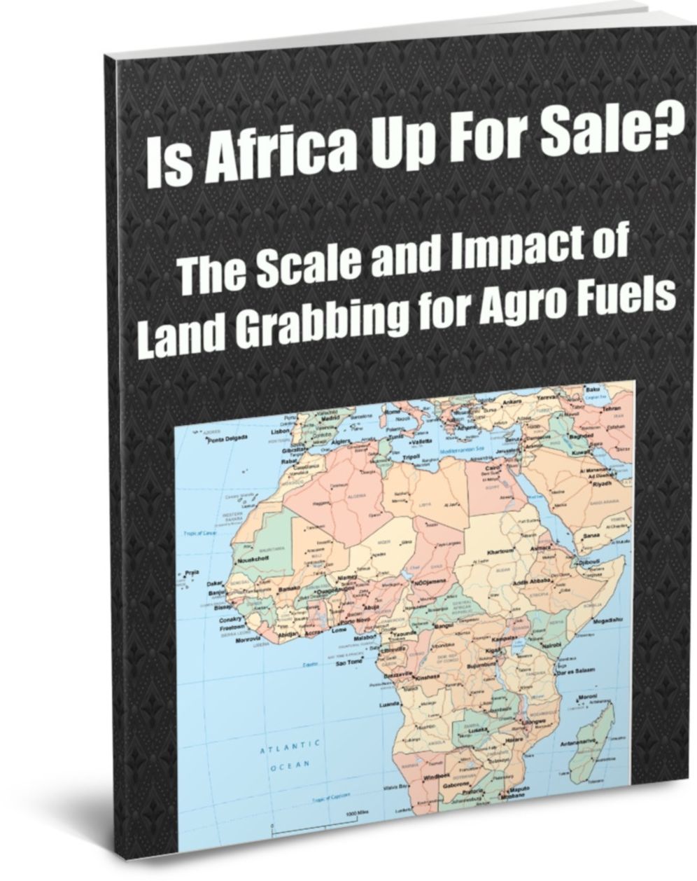 Is Africa Up For Sale? The Scale and Impact of Land Grabbing for Agro Fuels