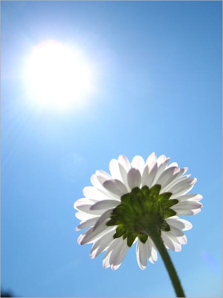 JOBS IN ALTERNATIVE ENERGY