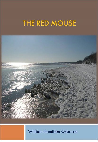 The Red Mouse w/ Direct link technology (A Mystery Romance)